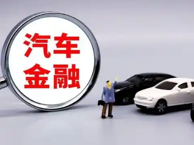 河东押车贷款不是本人可以么?